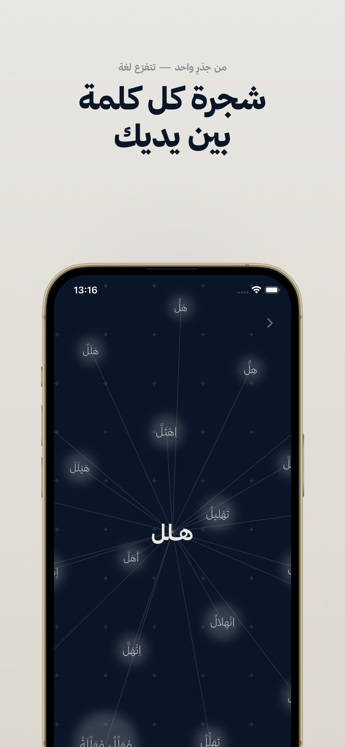 مستكشف الجذور وكلماته تدور حوله ككوكبة نجوم